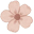 notizenverliebt.de favicon